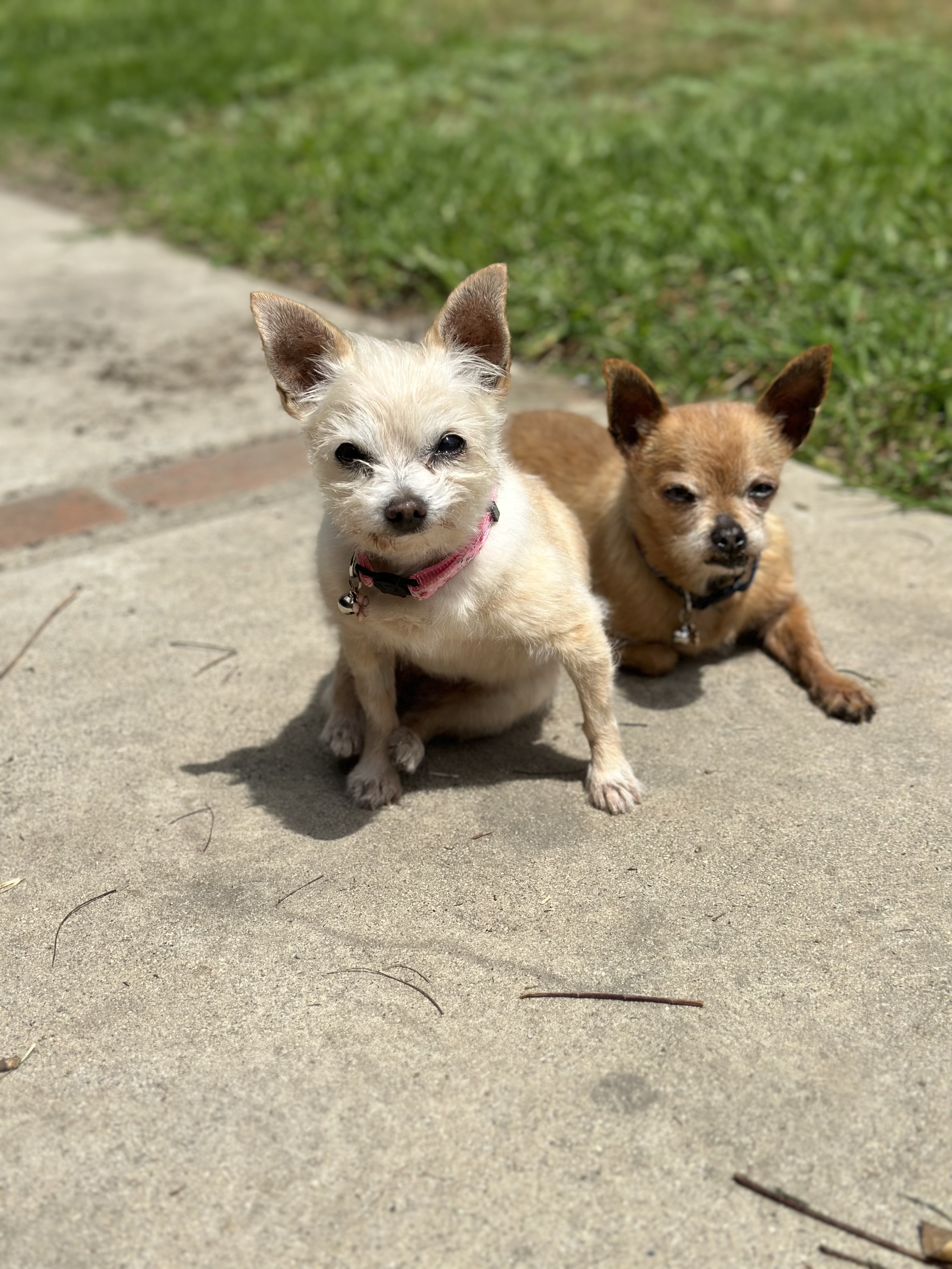 Heidi and Frank laying down